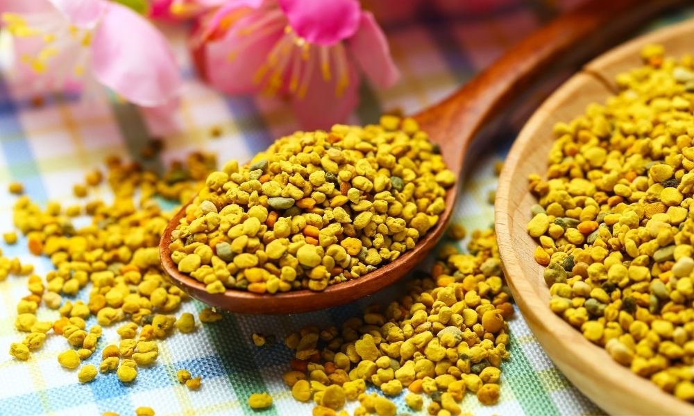 Discover How Beekeepers Collect Bee Pollen