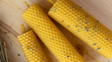 Beeswax Crafts Your Kids Will Love This Fall