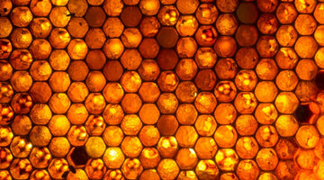 What the Current Supply Chain Means for Honey Production