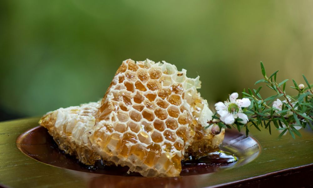 A Complete Guide to the Different Types of Raw Honey