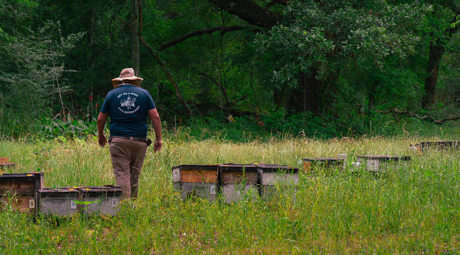 Facts About Bees from a 3rd Generation Beekeeper
