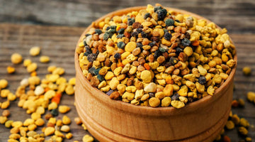 What Is the Difference Between Bee Bread and Bee Pollen?