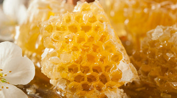 How To Choose the Right Containers for Bulk Honey Storage