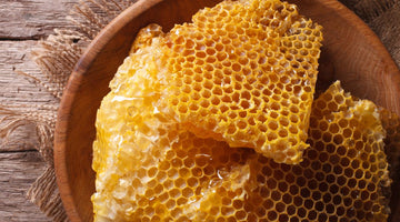 Exploring Different Comb Honey Harvesting Techniques