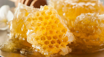 A Brief Look at Honey’s Role in Cultures Around the World