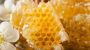 6 Questions To Ask When Buying Wholesale Honey