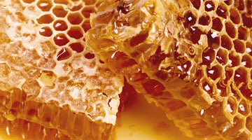 How To Tell the Difference Between Raw Honey and Fake Honey