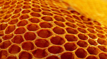 How Are Honeycombs Made and What Are They?