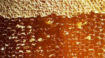 Hives vs. Honeycombs: What’s the Difference?