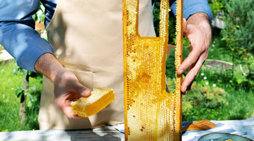 Raw Honeycomb vs. Liquid Honey: What’s the Difference?