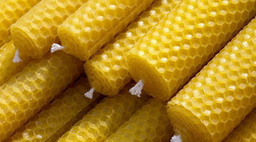 How Humans Have Used Beeswax Throughout History