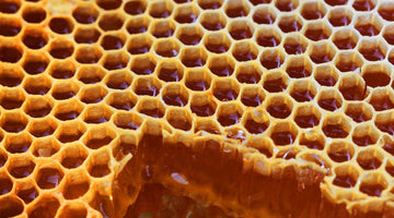 Top Reasons to Buy Raw Honey During Allergy Season