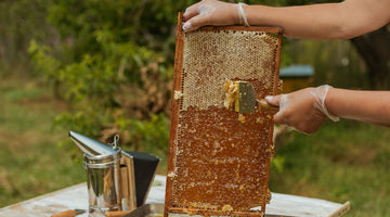 Why Is Raw Honey Better for You Than Sugar?