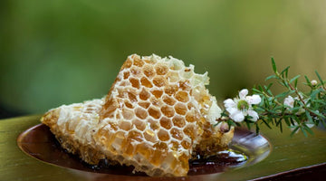A Complete Guide to the Different Types of Raw Honey