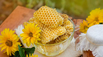 What Is Beeswax and Why Do Bees Make It?