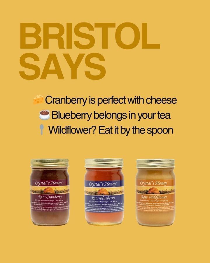 The Bristol Bundle