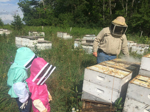 natural honey bee farm