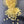 Beeswax Pearls 1lb bag