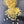 Beeswax Pearls 20lb Bag