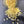 Beeswax Pearls 5lb Bag